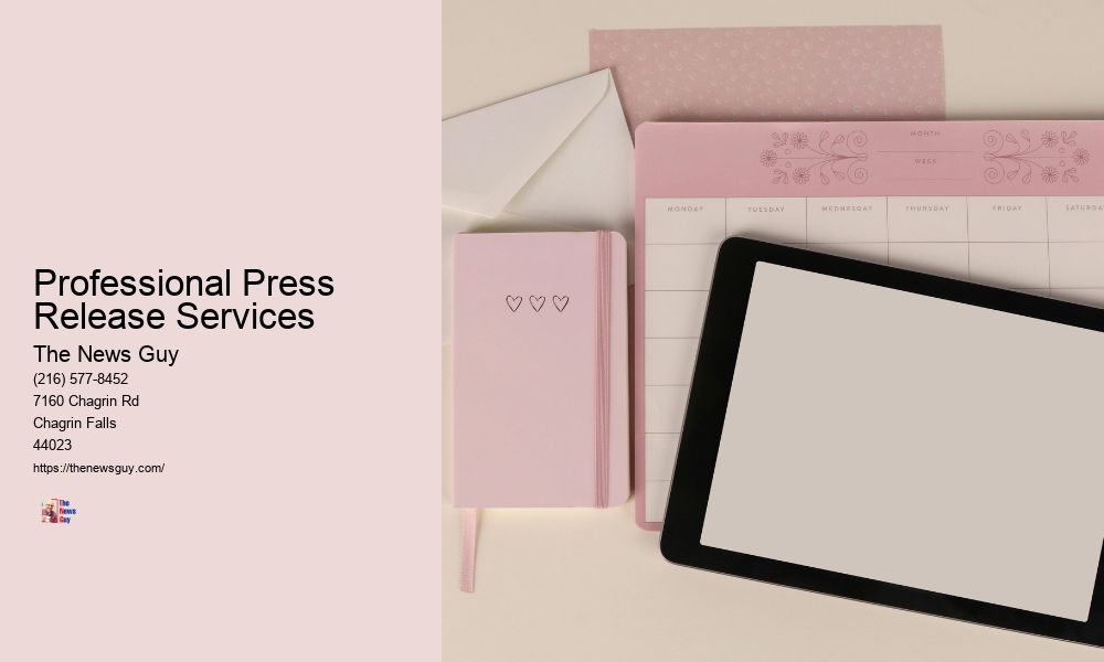 Professional Press Release Services